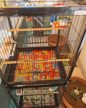 voliera a 2 scomparti 