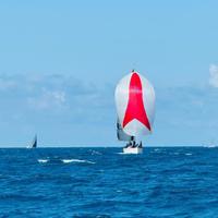 Spinnaker S1 S2 S3 barca 45 piedi