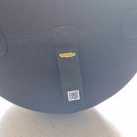 Fitball Technogym