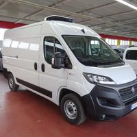 FIAT Ducato 35 2.3 MJT 140CV PM-TM Furgone Frigo