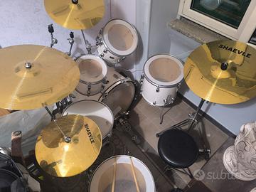 Batteria professionale 