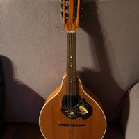 mandolino  in acero vintage