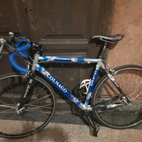 colnago bici corsa misura 51