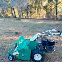 Trinciasarmenti Orec bull h662
