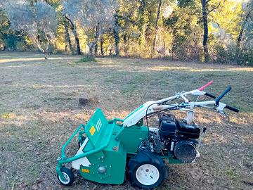 Trinciasarmenti Orec bull h662