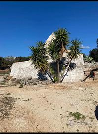 Trulli e terreno di 13000 m2