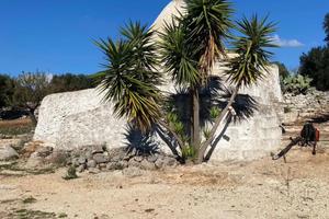 Trulli e terreno di 13000 m2
