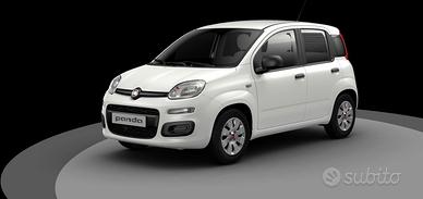 Fiat Panda 1.2 Easy - 2019
