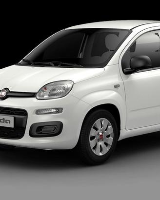 Fiat Panda 1.2 Easy - 2019