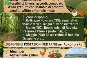 Terreni agricoli e boschi in provincia novara
