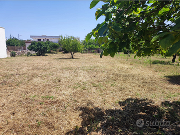 Terreno edificabile B1 Patu' - (Leuca - Lecce)