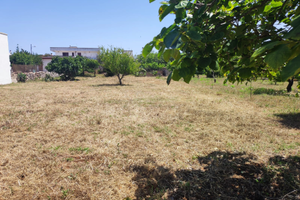 Terreno edificabile B1 Patu' - (Leuca - Lecce)