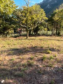 Terreno agricolo