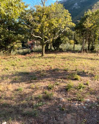 Terreno agricolo