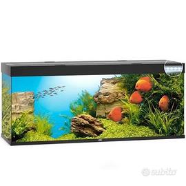 Acquario Juwel Rio 450 litri