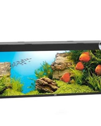 Acquario Juwel Rio 450 litri