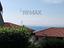 Immagine 7
