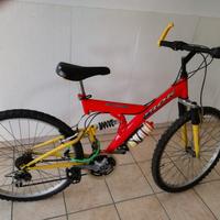 2 MOUNTAIN BIKE