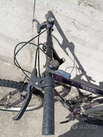 Bici montain bike