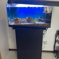 Acquario con mobiletto