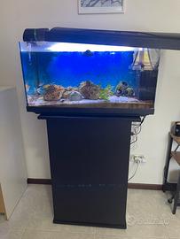 Acquario con mobiletto