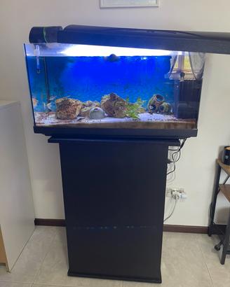 Acquario con mobiletto