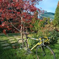 Colnago C40 misura 54 Dura Ace 9V