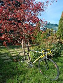 Colnago C40 misura 54 Dura Ace 9V