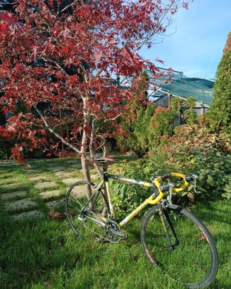 Colnago C40 misura 54 Dura Ace 9V