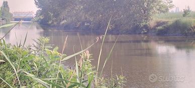 Terreno agricolo Ferrara Valpagliaro