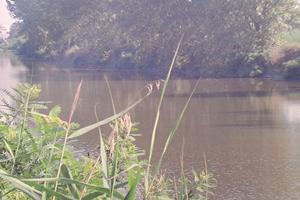 Terreno agricolo Ferrara Valpagliaro
