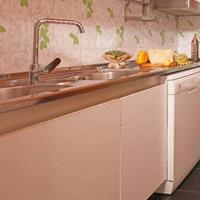 LAVELLO in acciaio INOX - Lavandino cucina FRANKE