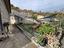Immagine 29