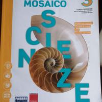 Mosaico scienze 3