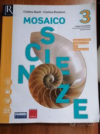 Mosaico scienze 3