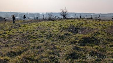 ROMANIA, terreno a Craiova