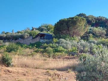 Terreno pressi San Martino delle Scale