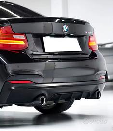 Finalini in Carbonio (COPPIA) per  BMW f20 f30 f31