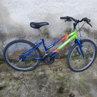 bicicletta uomo 