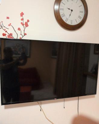 Smart TV LG 49 pollici