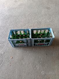 Casse di acqua completo di bottiglie.