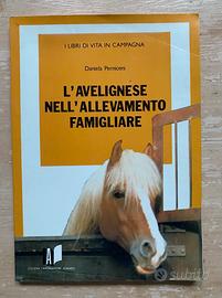 L'AVELIGNESE NELL'ALLEVAMENTO FAMIGLIARE-Perniceni