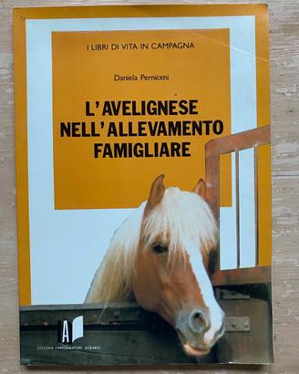 L'AVELIGNESE NELL'ALLEVAMENTO FAMIGLIARE-Perniceni