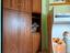 Immagine 25
