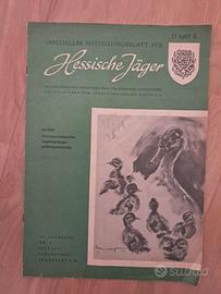 Hessische Jäger 1971 - Venatoria Caccia