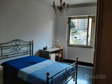 Solo ragazze studentesse