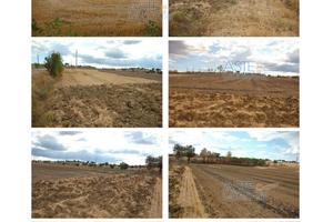 Terreno Agricolo Marsciano [A4307515]
