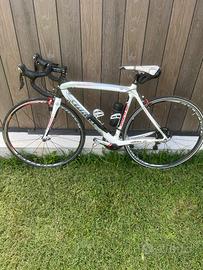 Bici da corsa Wilier triestina