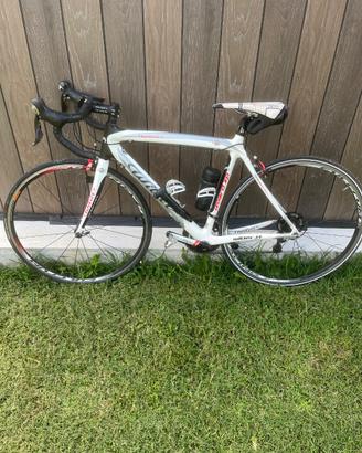 Bici da corsa Wilier triestina