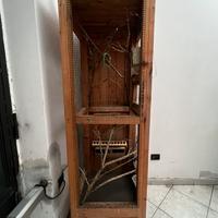 Gabia grande per uccelli